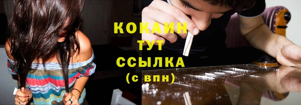 тгк Алексин