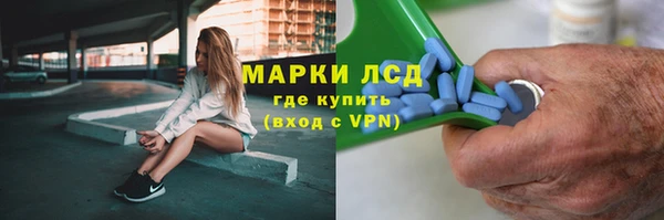 сатива Алексеевка