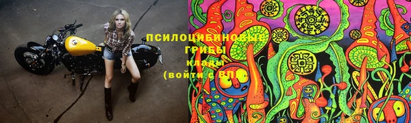 тгк Алексин