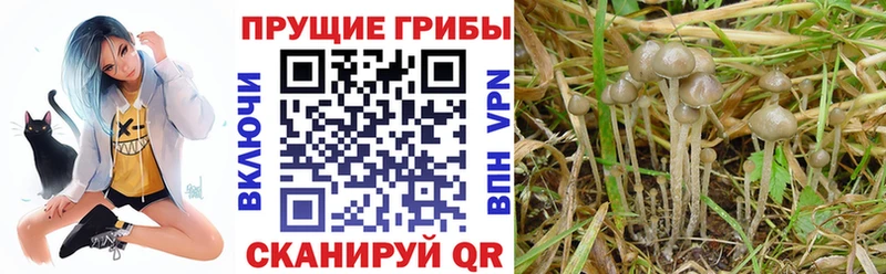 Галлюциногенные грибы ЛСД  Фролово 
