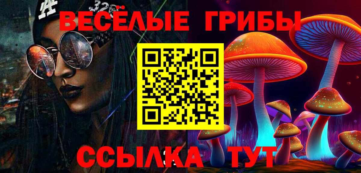 Псилоцибиновые грибы MAGIC MUSHROOMS  Вход с VPN  Фролово 