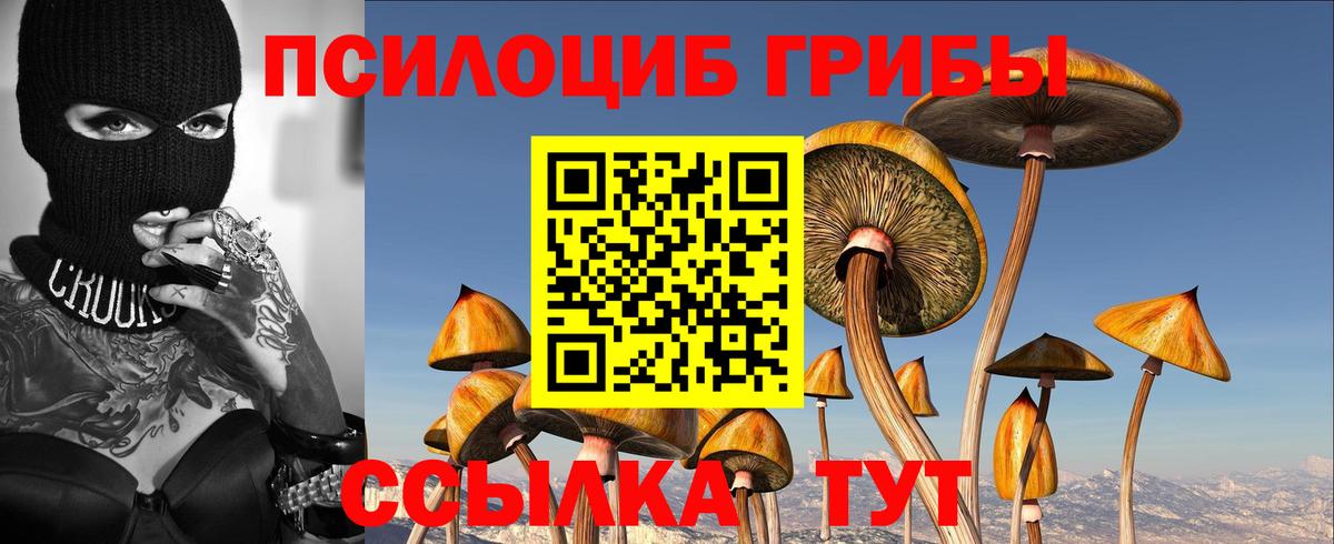 Псилоцибиновые грибы Psilocybe Фролово